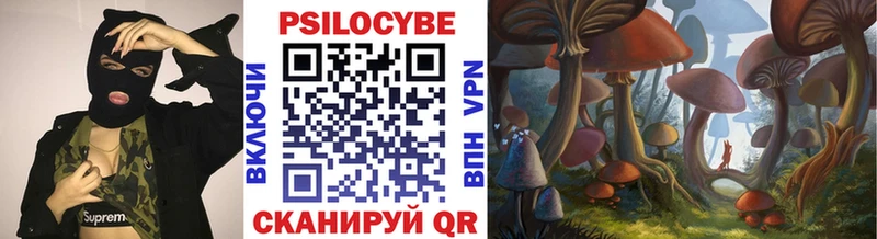 наркота  Струнино  Псилоцибиновые грибы Magic Shrooms 